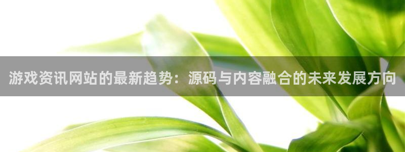 鼎点娱乐主管：游戏资讯网站的最新趋势：源码与内容融合的未来发