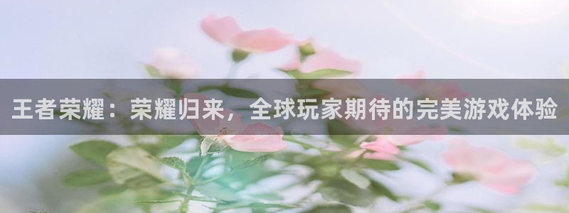 鼎点娱乐网页登录入口下载：王者荣耀：荣耀归来，全球玩家期待的