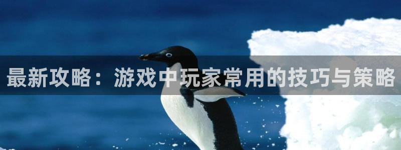 手机版鼎点娱乐客户端下载：最新攻略：游戏中玩家常用的技巧与策