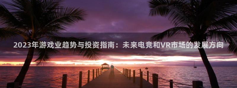 鼎点娱乐注册平台：2023年游戏业趋势与投资指南：未来电竞和
