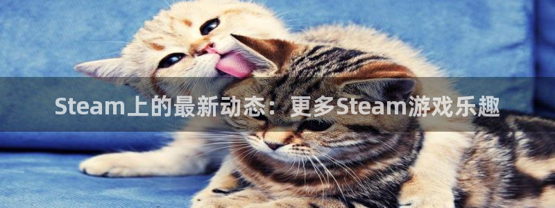 鼎点娱乐平台官方网站