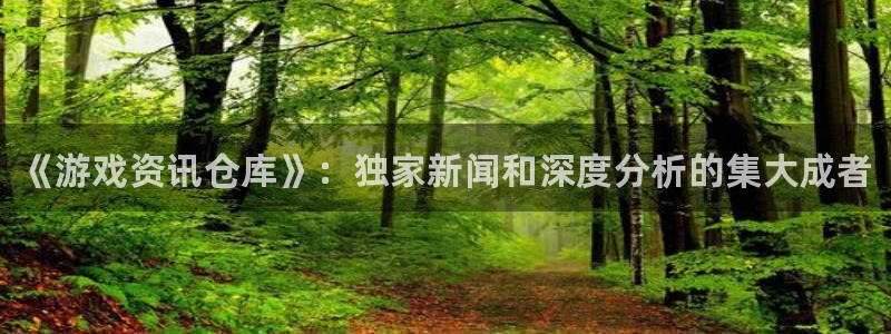 鼎点娱乐网页版地址：《游戏资讯仓库》：独家新闻和深度分析的集