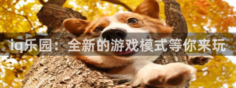 鼎点娱乐注册平台：iq乐园：全新的游戏模式等你来玩