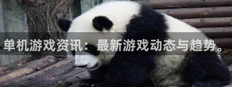 鼎点娱乐平台官网注册：单机游戏资讯：最新游戏动态与趋势。