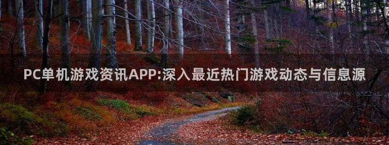 鼎点娱乐网页登录入口：PC单机游戏资讯APP:深入最近热门游