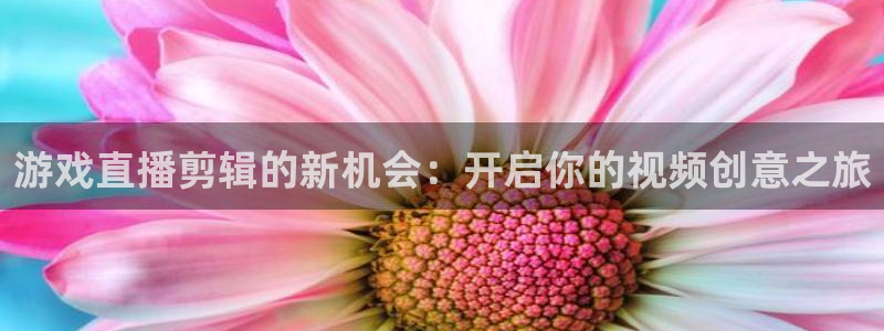 鼎点娱乐游戏：游戏直播剪辑的新机会：开启你的视频创意之旅