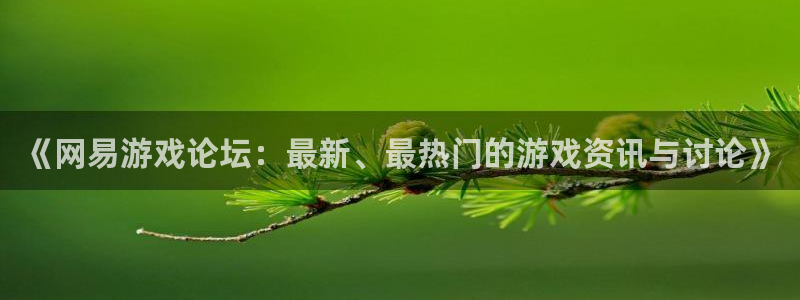鼎点娱乐平台登陆：《网易游戏论坛：最新、最热门的游戏资讯与讨