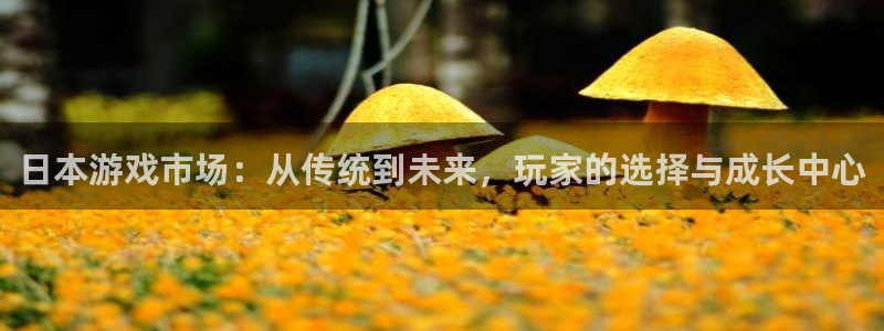 鼎点娱乐登录网址：日本游戏市场：从传统到未来，玩家的选择与成