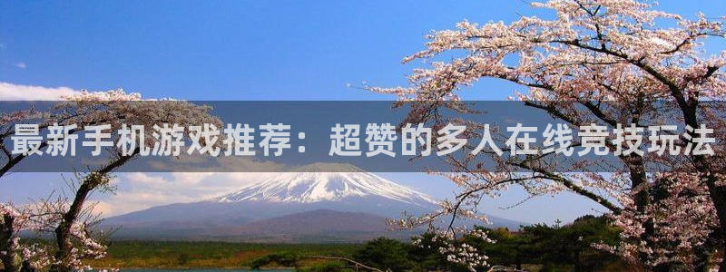 鼎点娱乐游戏：最新手机游戏推荐：超赞的多人在线竞技玩法