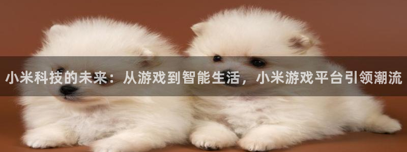 鼎点娱乐平台官网注册