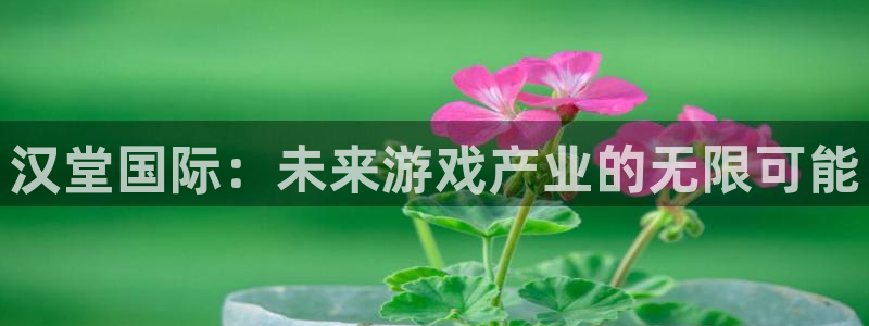 鼎点娱乐右.93O79最新章节更新内容