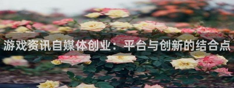 鼎点娱乐在线登陆官网