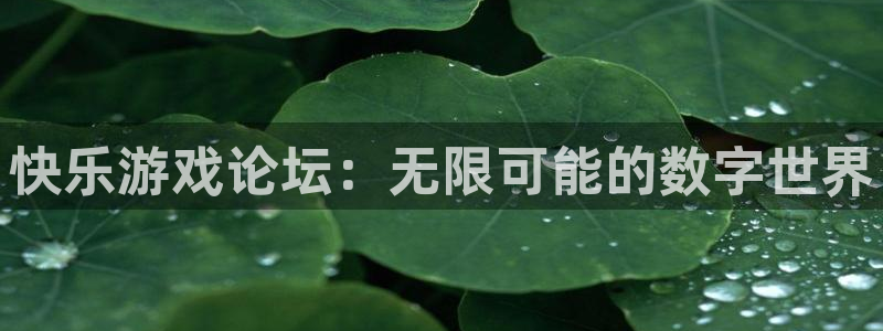 鼎点娱乐官方最新版本更新内容是什么：快乐游戏论坛：无限可能的