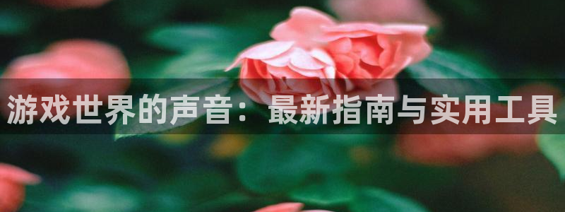 鼎点娱乐平台登入教程：游戏世界的声音：最新指南与实用工具