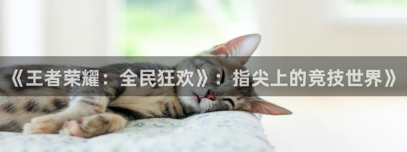 鼎点娱乐官网下载入口安卓：《王者荣耀：全民狂欢》：指尖上的竞