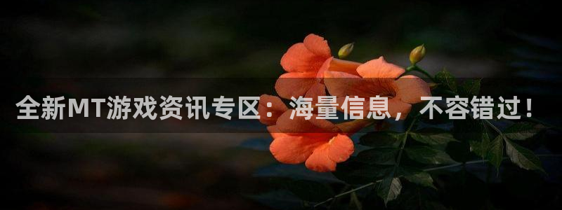 鼎点娱乐或7o777