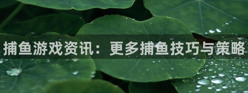 鼎点娱乐前.93O79.